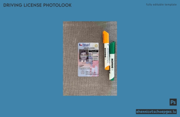 USA Texas Führerschein unter 21 Jahren Fotoansicht Beispielvorschau